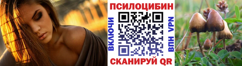Псилоцибиновые грибы Psilocybe Великий Устюг