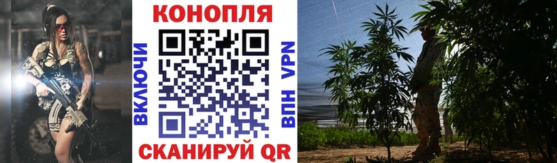 Марихуана SATIVA & INDICA  Великий Устюг 
